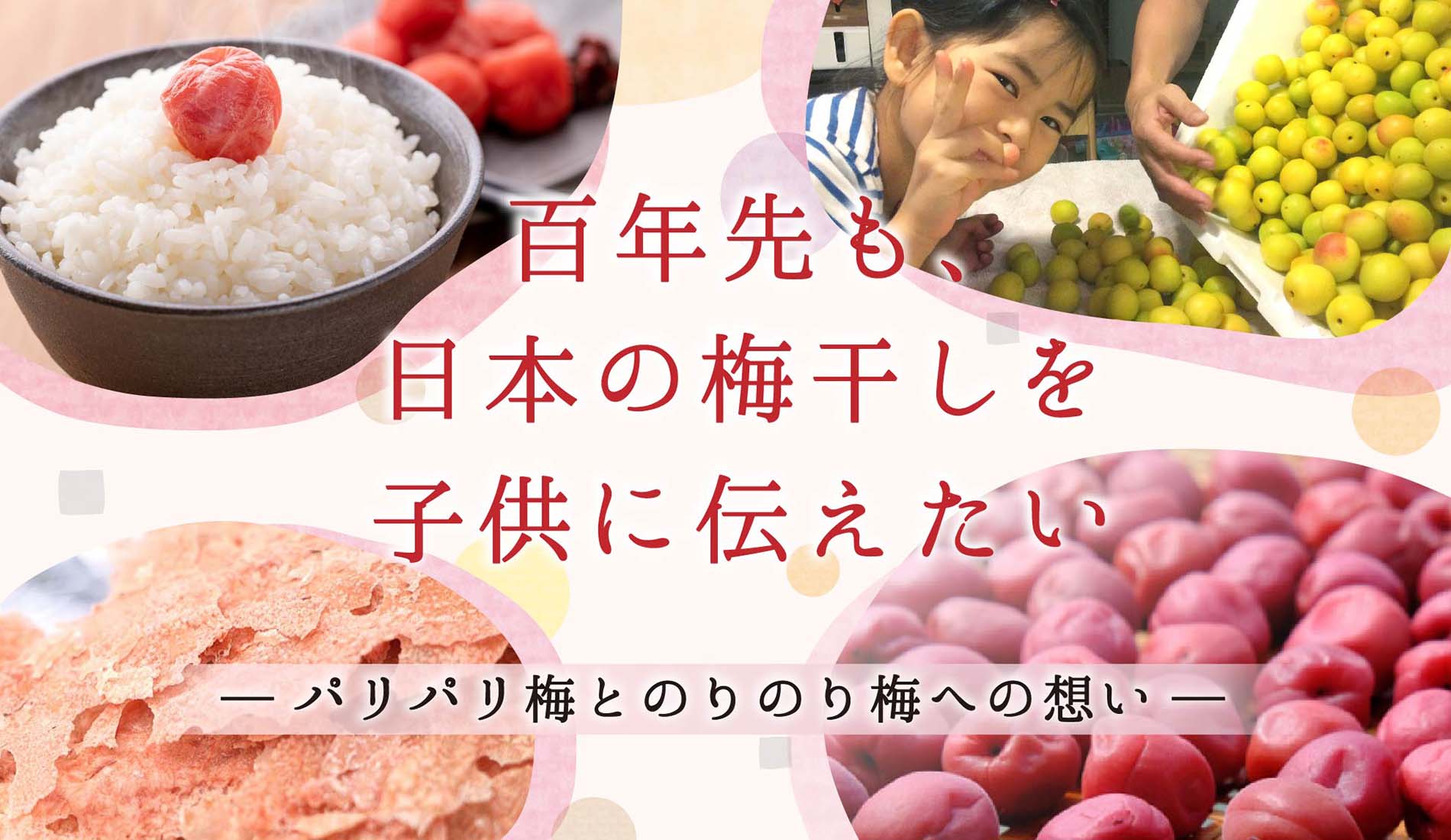100年先も日本の梅干しを子供に伝えたい