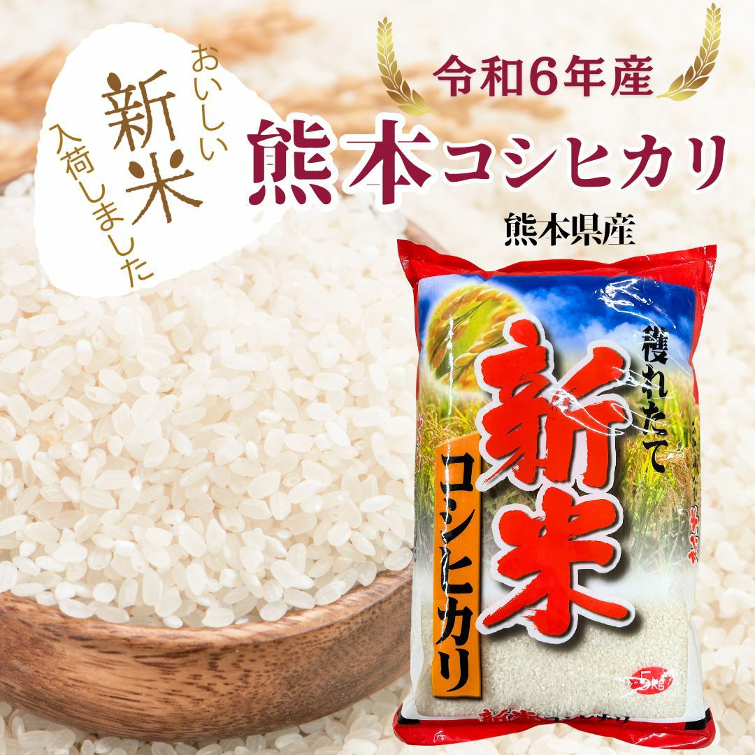 新米 熊本コシヒカリ ５kg 朝ごはん本舗