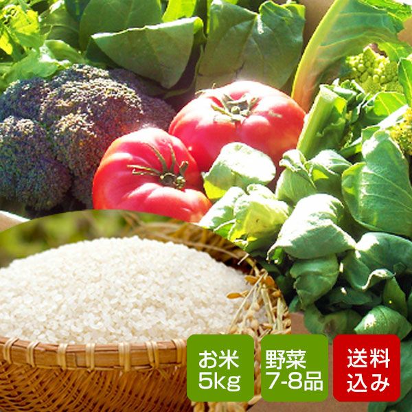 九州野菜と卵10個と旬の果物付き | 朝ごはん本舗