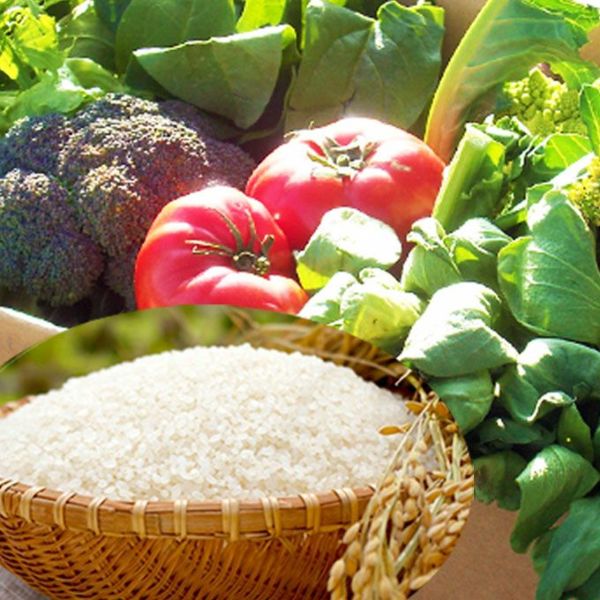 野菜とお米のつめあわせ クール便