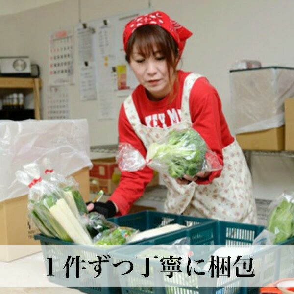 【母の日限定メッセージカード付き】野菜とお米のギフト クール便