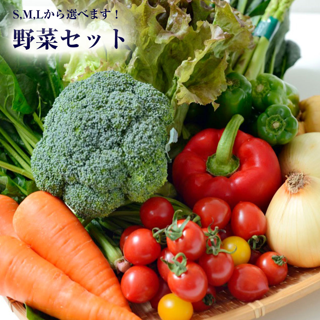 野菜セット10-12品 九州産