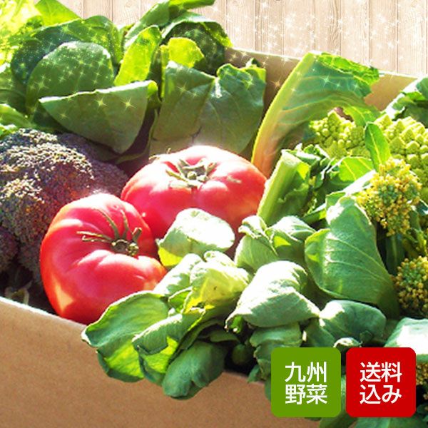 野菜セット8-9品 九州産 クール便