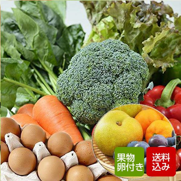 九州野菜と卵10個と旬の果物付き クール便 | 朝ごはん本舗