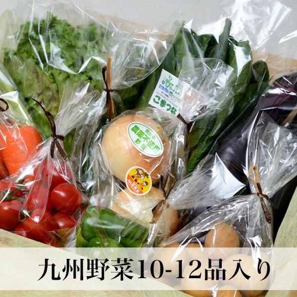 九州野菜と卵10個と旬の果物付き | 朝ごはん本舗