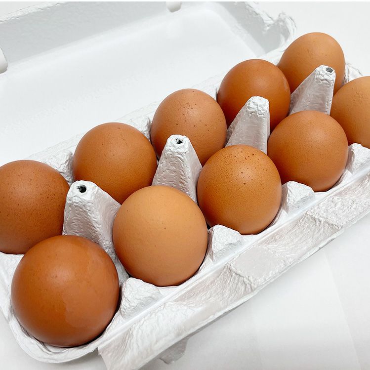 朝どり卵10個入