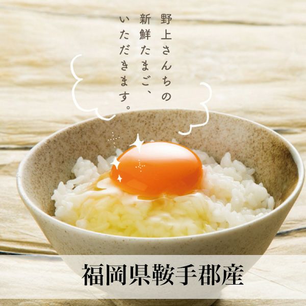 たまごごはん 九十九里ファームたまご屋さんコッコ 卵かけご飯食べ放題｜toyotaboxy