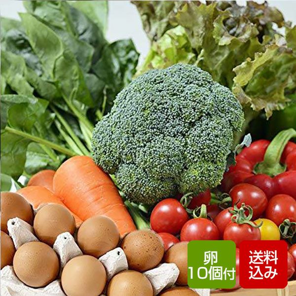 九州野菜と卵セット　クール便