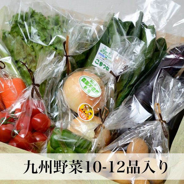【専用】野菜様 からだが喜ぶ野菜BOX Mサイズ3〜4人分 福島県内受取限定|ウェルカム