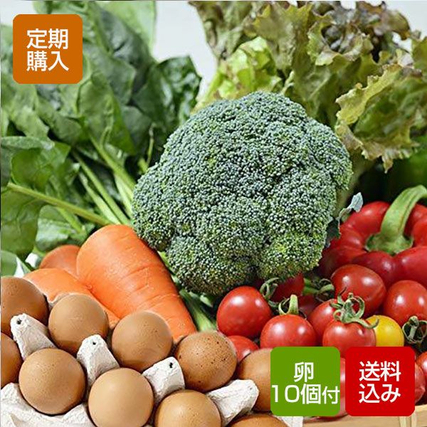 【定期購入】九州野菜と卵セット