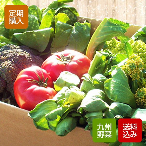 【定期購入】九州とれたて野菜セット