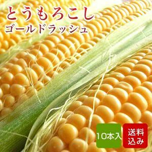 朝採りとうもろこし　10本入 （福岡産）