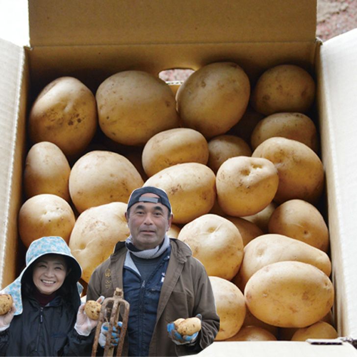 中村さんの新じゃがいも「出島」 | 朝ごはん本舗