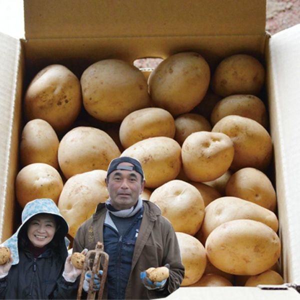 中村さんの新じゃがいも「出島」　　