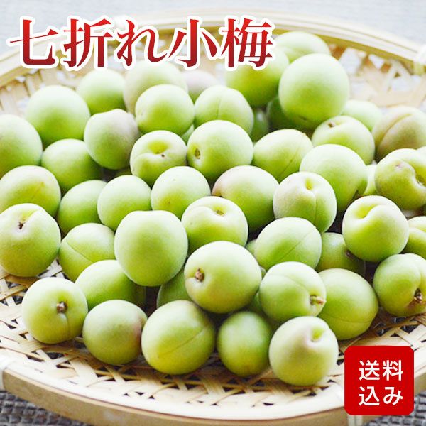 七折れ小梅  大分県産　　ご予約品