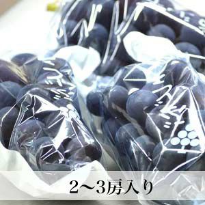 朝摘み巨峰　1kg