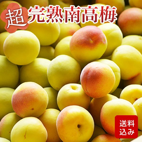 超！ 完熟南高梅　大分県産 クール便 ご予約品
