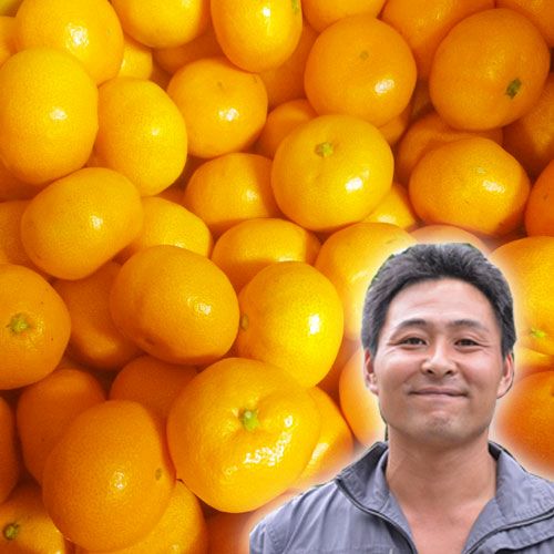 みかん 甘搾り温州みかんジュース2本セット | 商品詳細 | 高島屋