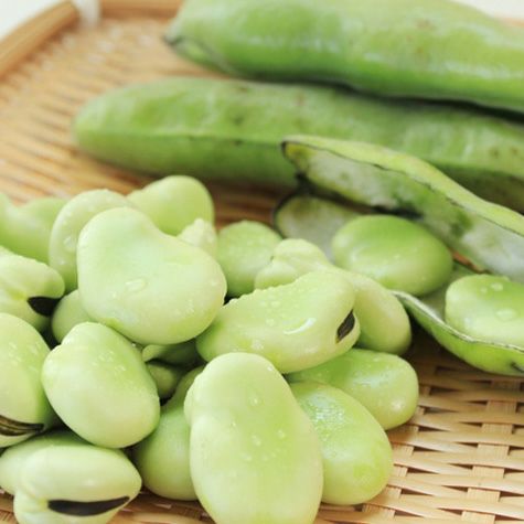 そらまめ 500g 鹿児島県産 | 朝ごはん本舗