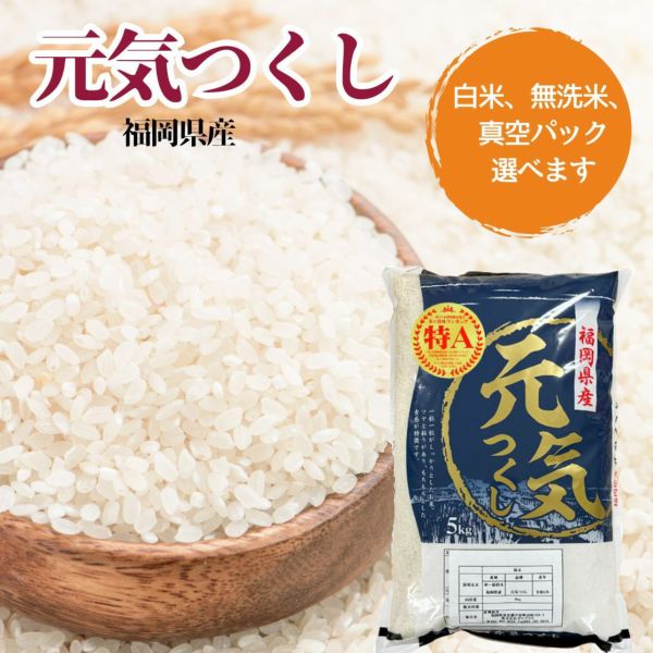 宮崎県産牛・豚の合挽きハンバーグ 30個 バラ凍結 冷凍 | 朝ごはん本舗