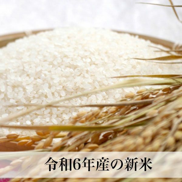 【新米】夢つくし 5kg 福岡県産 令和6年産