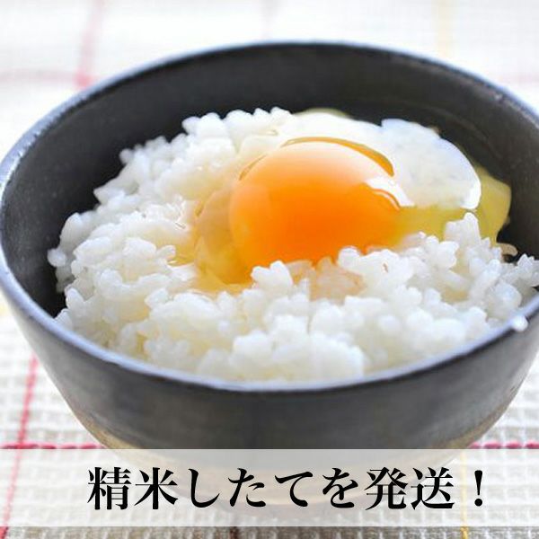夢つくし5kg福岡産福岡県民にいちばん愛されているお米です。福岡県の宮若産の一等米【あす楽】