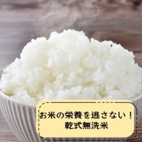 4袋限定 令和3年 新米 夢つくし 30㎏