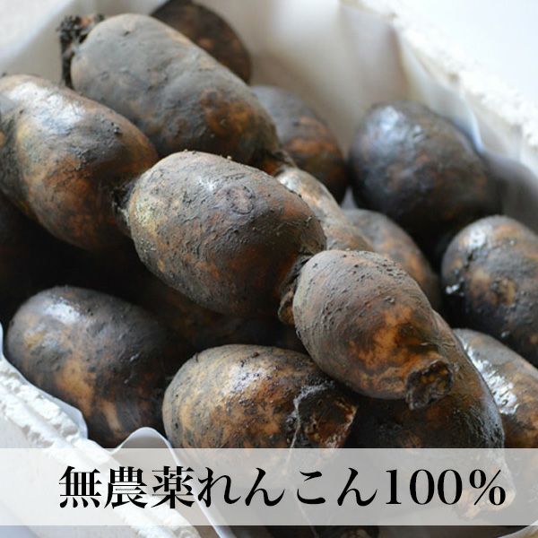 れんこんパウダー 無農薬 100g（50g×2） | 朝ごはん本舗