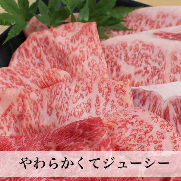 博多和牛　焼肉用ミックス　450g