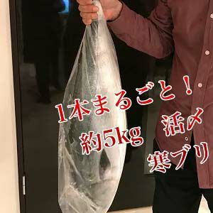 寒ブリ 約5kg １尾 活〆 養殖 玄界灘 お刺身用 ご予約品