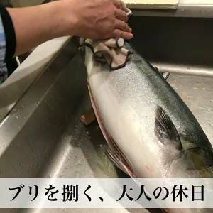 寒ブリ 約5kg １尾 活〆 養殖 玄界灘 お刺身用 ご予約品