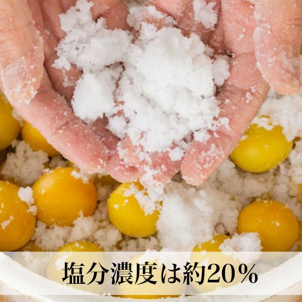 塩分濃度は約20％