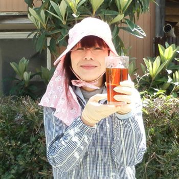 びわの葉茶 無農薬 1か月分 md | 朝ごはん本舗 びわの葉茶 無農薬 1か月分 md | 朝ごはん本舗