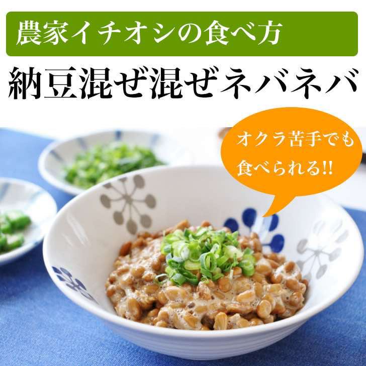 おくらパウダー 無添加 100g | 朝ごはん本舗