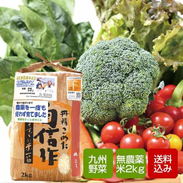 九州野菜と無農薬コシヒカリ2kgセット