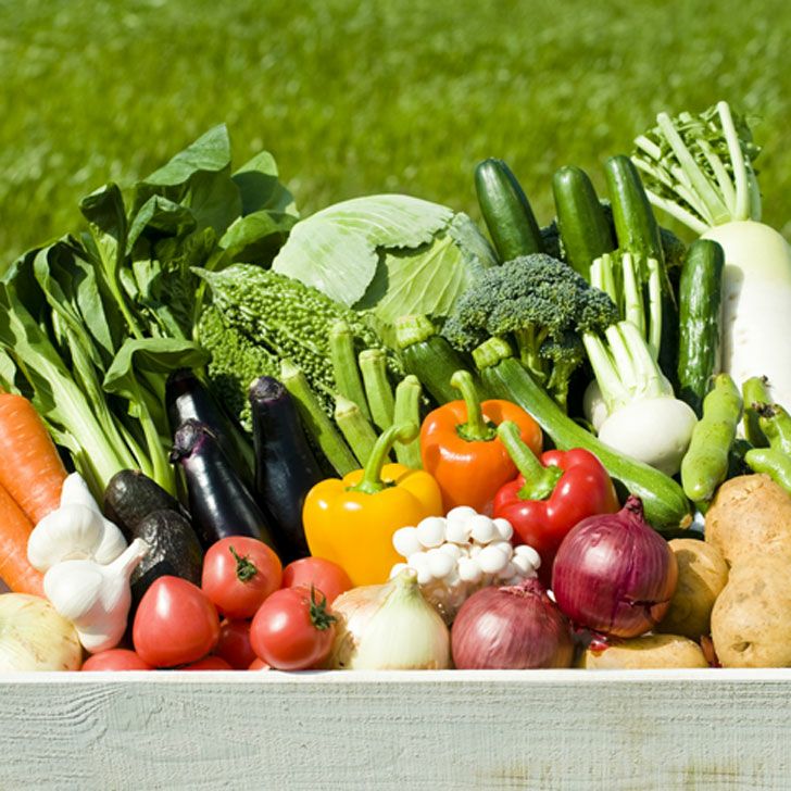 【母の日限定メッセージカード付き】野菜ギフト 8-9品 クール便