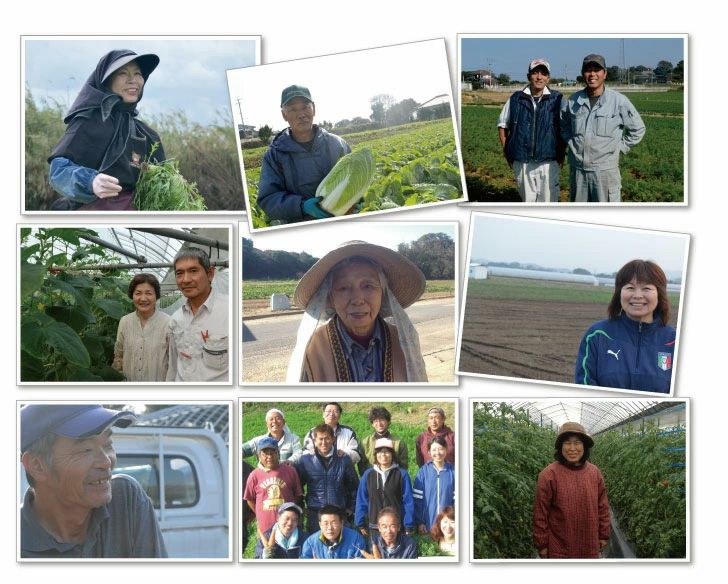 【母の日限定メッセージカード付き】野菜ギフト 8-9品 クール便