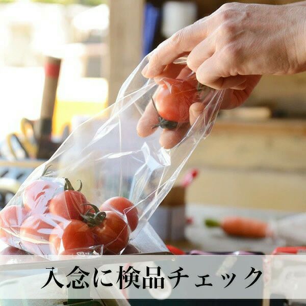 【母の日限定メッセージカード付き】野菜ギフト 8-9品 クール便