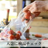 【母の日限定メッセージカード付き】野菜ギフト 8-9品 クール便