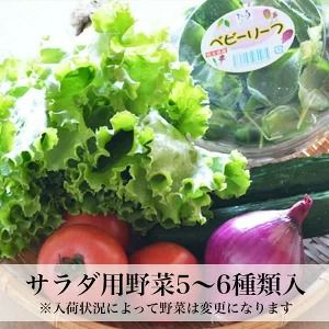 冷しゃぶ サラダセット