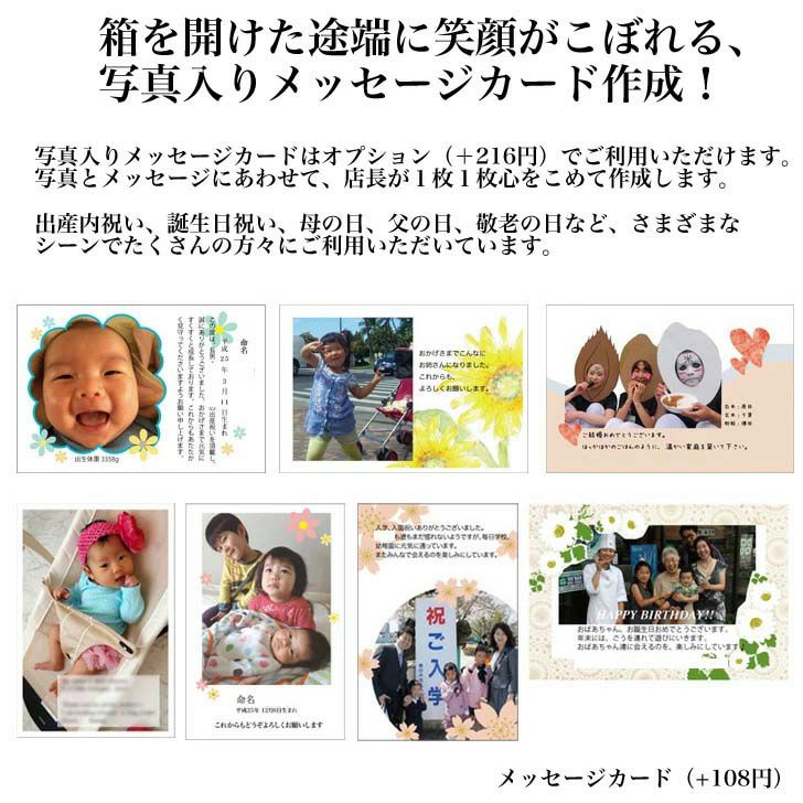 メロンとスイカの詰め合わせ