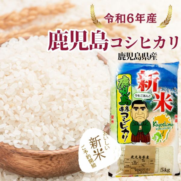 新米】鹿児島コシヒカリ 5kg 令和6年産 | 朝ごはん本舗