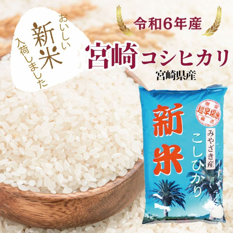 令和6年産 新米】宮崎コシヒカリ 5kg 朝ごはん本舗