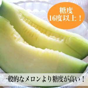 肥後グリーンメロン 1玉入 大玉4Lサイズ