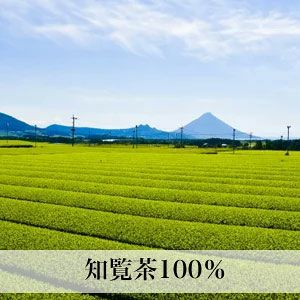 【新茶】知覧茶 贈答用 100g×3本入 ご予約品