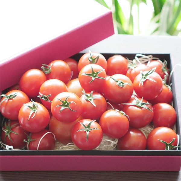 フルーツトマト  甘美の舞 600g 化粧箱入
