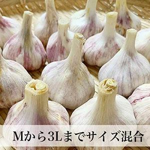 無農薬 島ニンニク1キロ✖️5/沖永良部島産/除草剤不使用ナマ