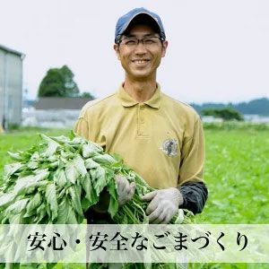 金ごま油 生搾り 100g 宮崎県産