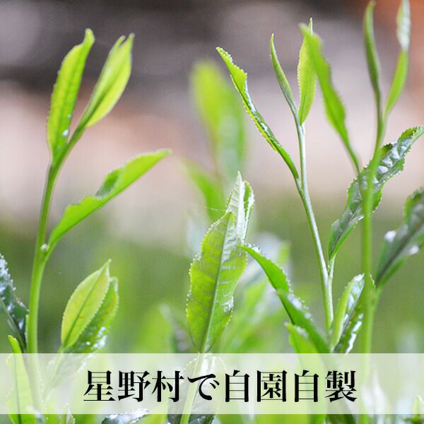 【星野村】　抹茶 2025年産】【新茶】星野村の八女茶 抹茶 姫みどり 濃茶用 薄茶用