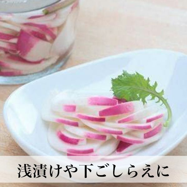 梅酢 500ml 無添加 無着色 ペットボトルタイプ | 朝ごはん本舗
